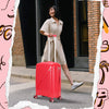 Premium carry on suitcase – Compact and stylish cabin Luggage
