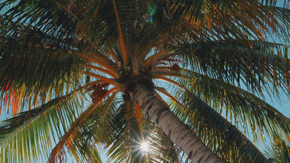 Flymax London Legacy 32-Inch Extra Large Suitcase